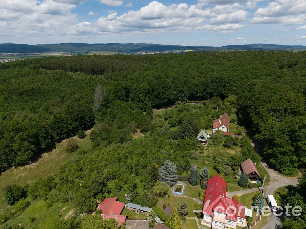 Prodej louky 3131 m²